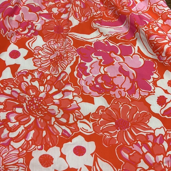 Lily Pulitzer Beautiful Floral Dress - Picture 2 of 10